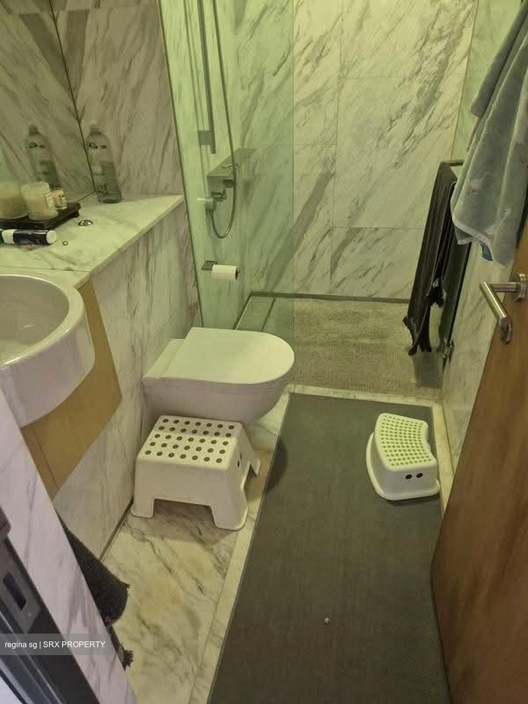 Newton Suites (D11), Apartment #610413791
